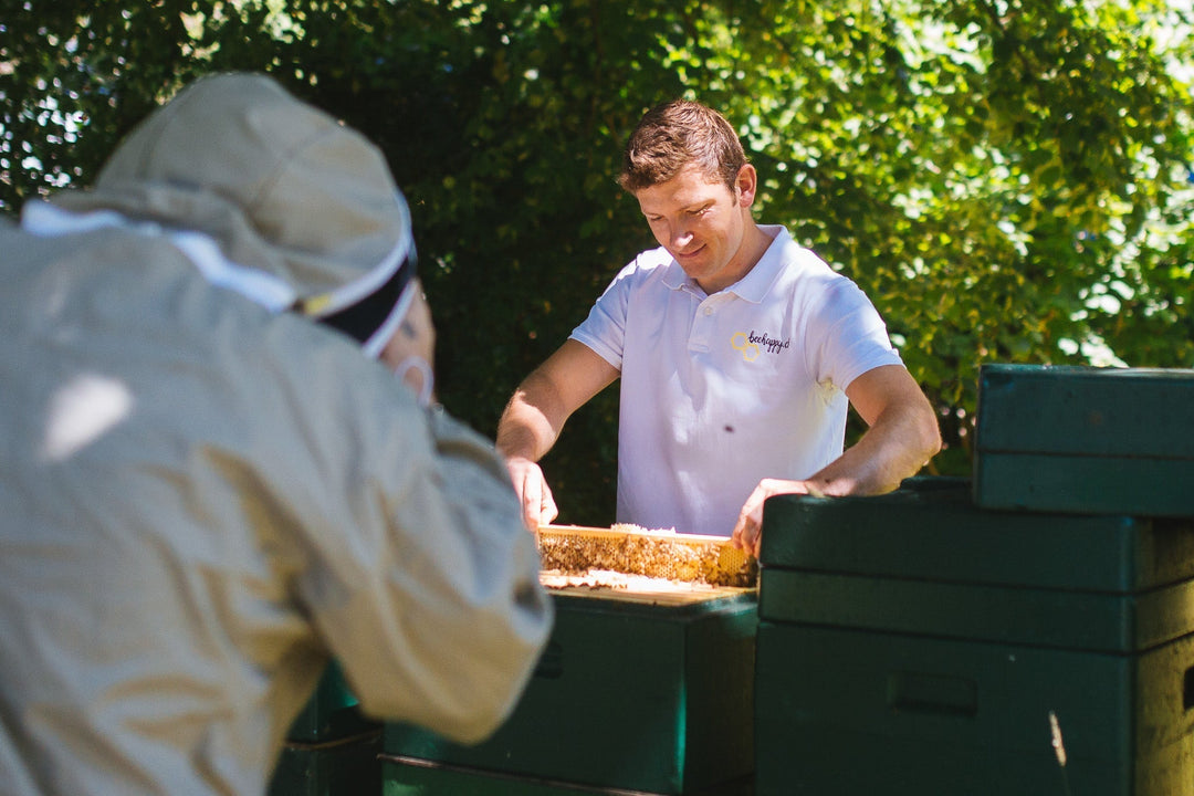 BeeHappy – Honig von glücklichen Bienen aus dem Aargau