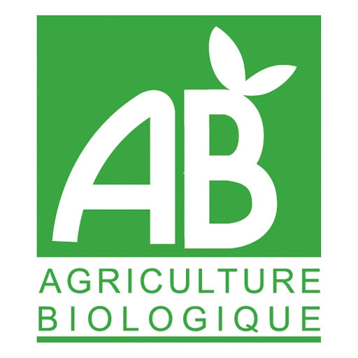 Waldhonig BIO und IGP Provence