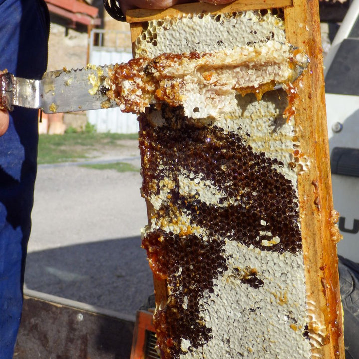 Kastanienhonig 500 gr.