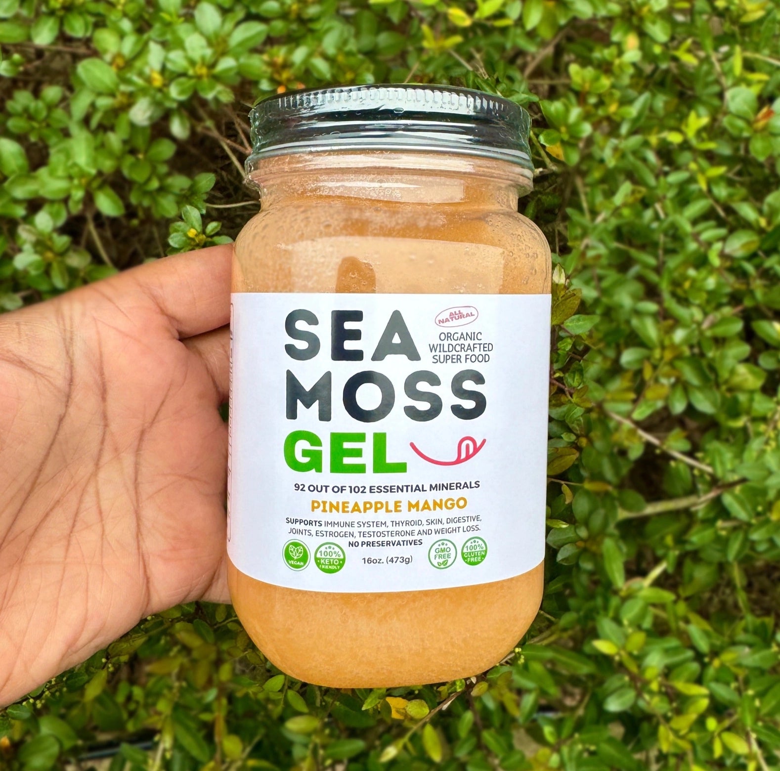 Ananas-Mango Sea Moss Gel