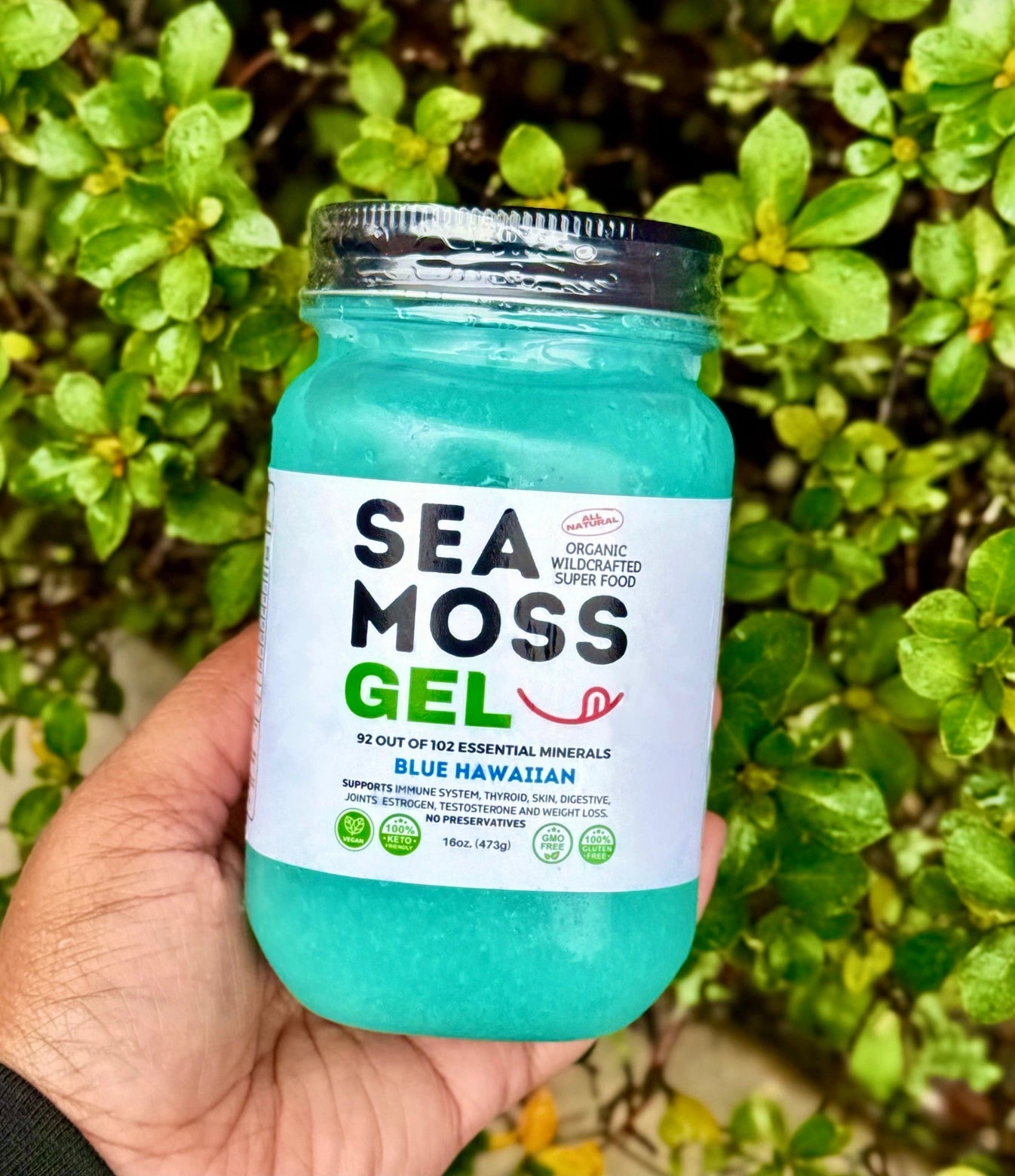 Blaues Hawaiianisches Sea Moss Gel