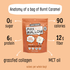 Burnt Caramel Max Mallow - Zuckerfreier Marshmallow - jollychaplin -  - 