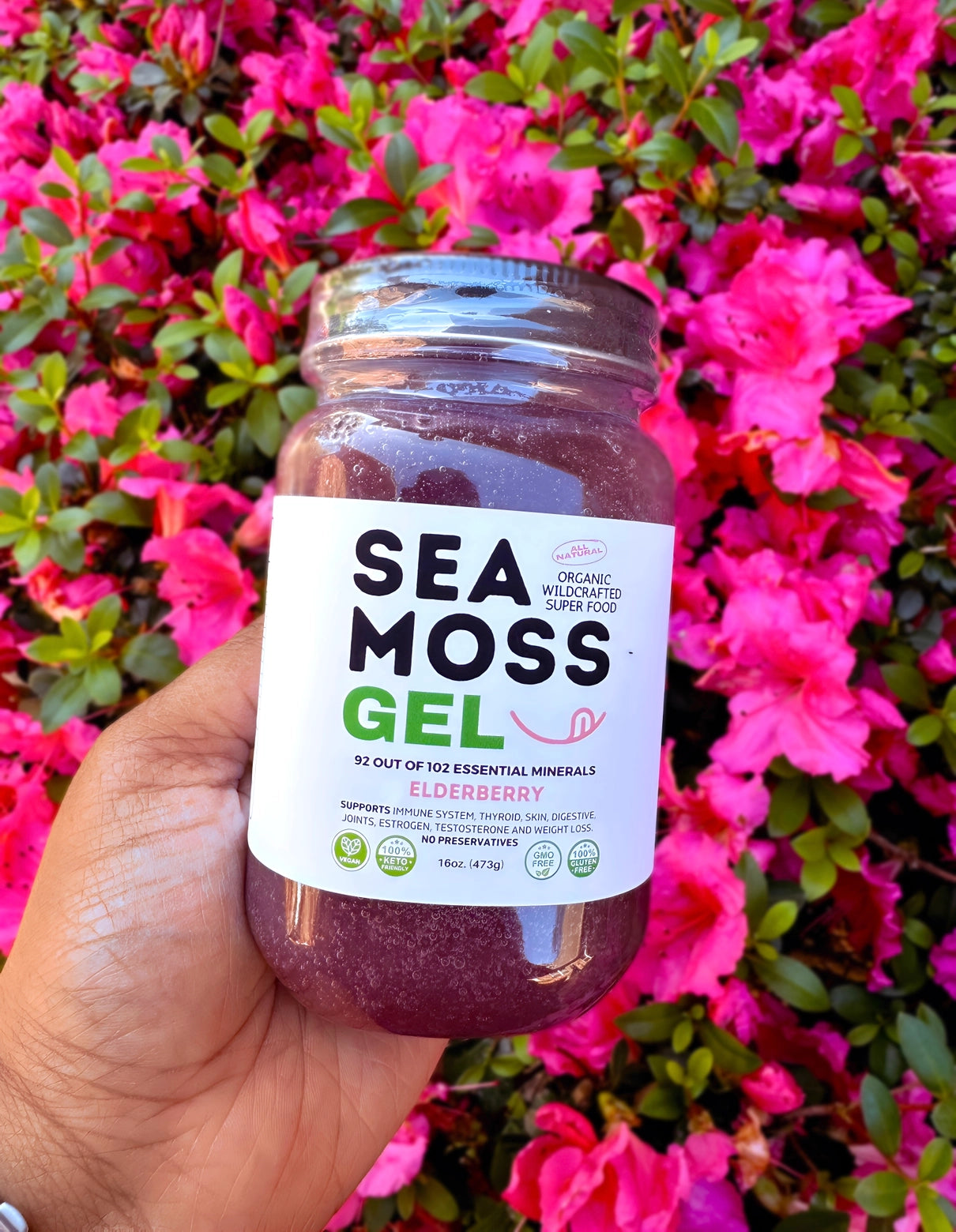 Holunderbeeren Sea Moss Gel