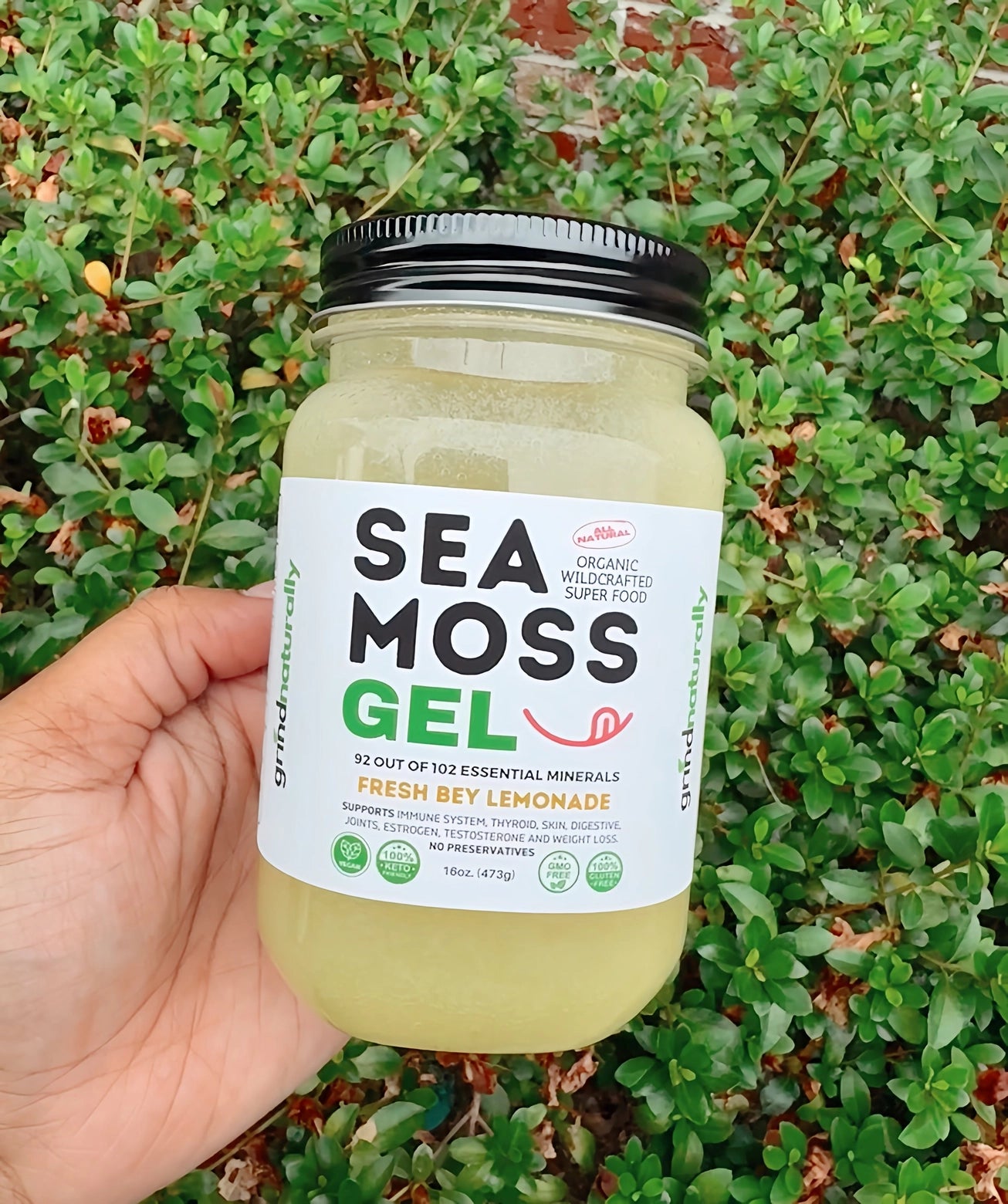 Frischer Limonade Sea Moss Gel