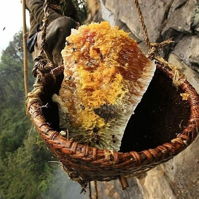 Himalaya-Honig 250g