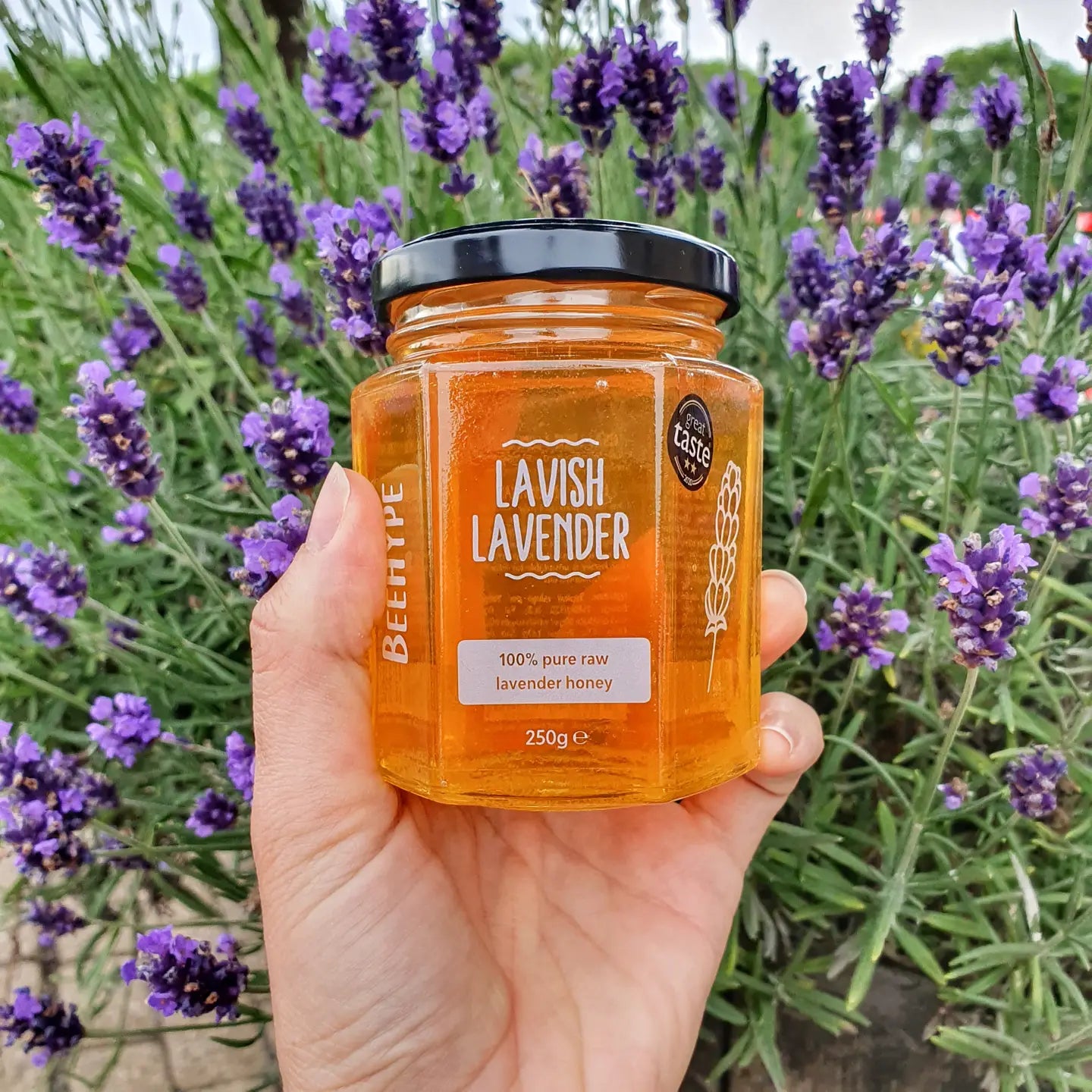 Lavish Lavish Lavender Roh Honey — Gourmet-Honig, natürlich hergestellt